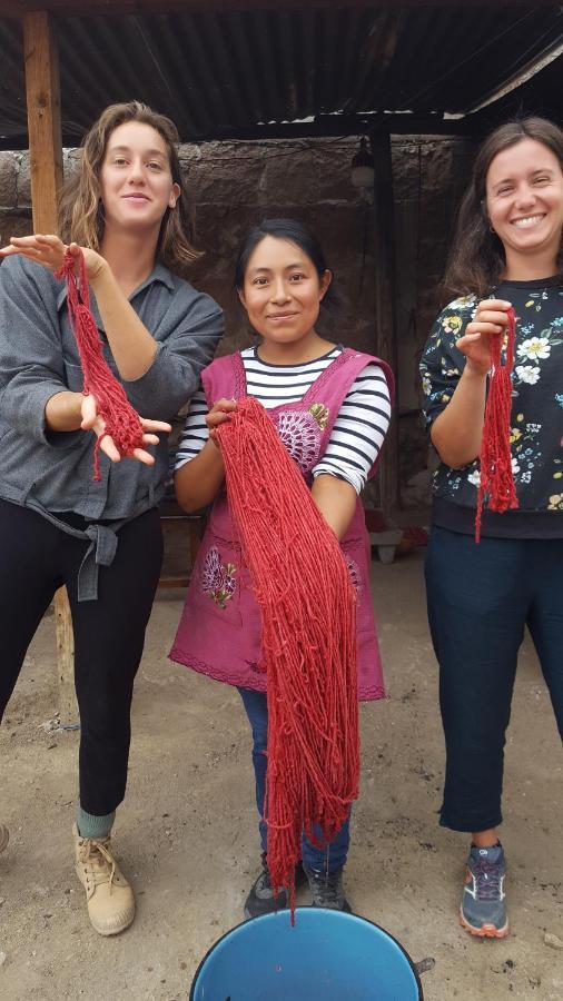 Lizu Tu Casa En Un Pueblo Zapoteca Bed & Breakfast Teotitlan del Valle ภายนอก รูปภาพ