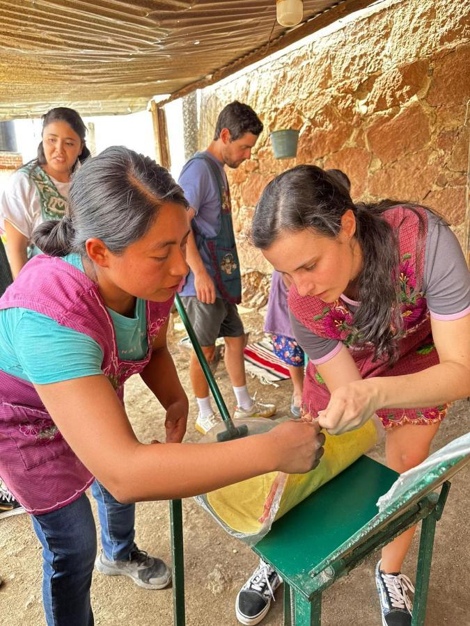 Lizu Tu Casa En Un Pueblo Zapoteca Bed & Breakfast Teotitlan del Valle ภายนอก รูปภาพ
