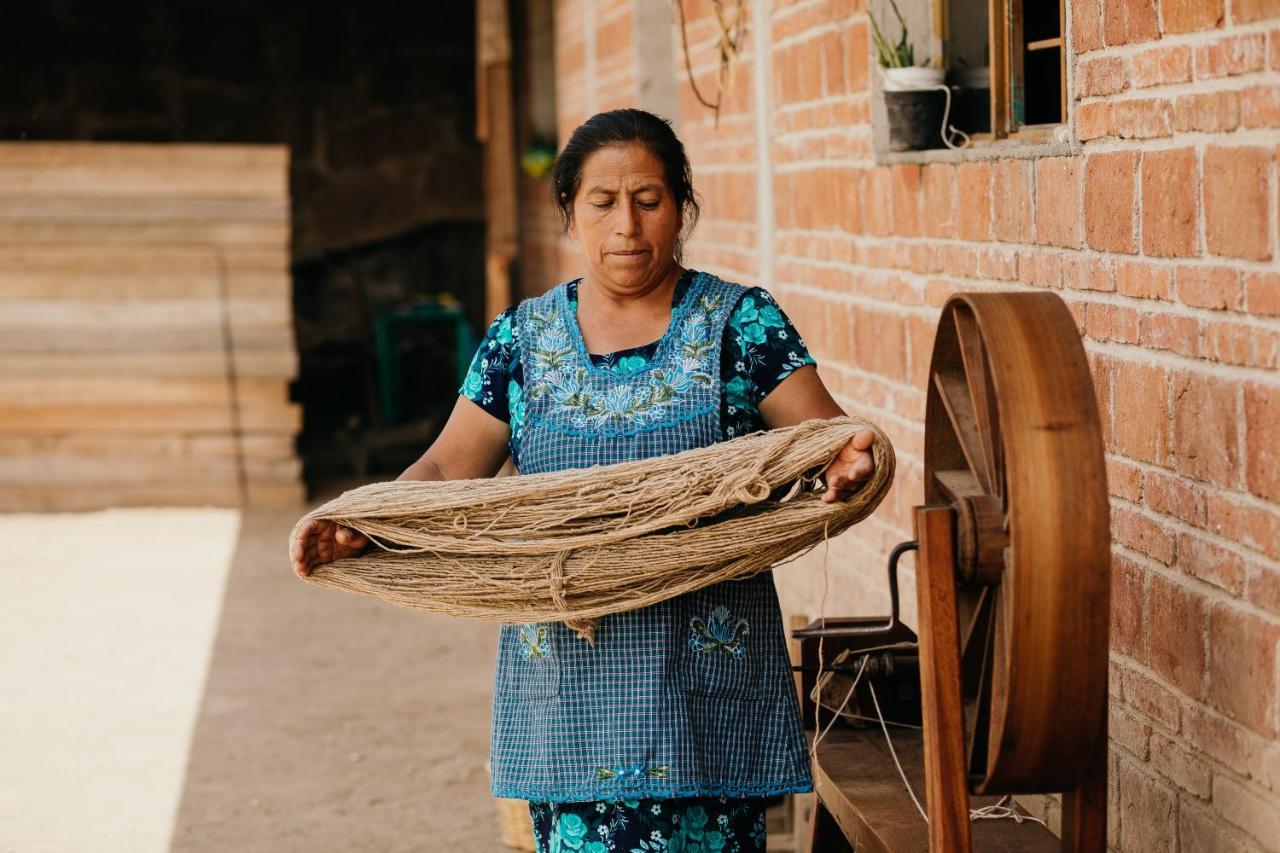 Lizu Tu Casa En Un Pueblo Zapoteca Bed & Breakfast Teotitlan del Valle ภายนอก รูปภาพ