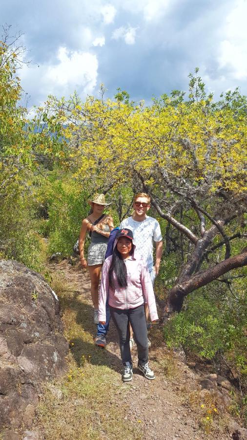 Lizu Tu Casa En Un Pueblo Zapoteca Bed & Breakfast Teotitlan del Valle ภายนอก รูปภาพ